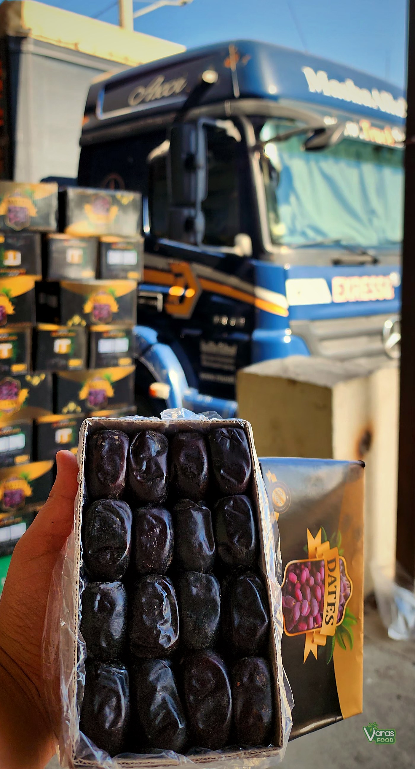 VARAS Food Kimia (Mazafati) dates being loaded for export in Jiroft, Kerman Province